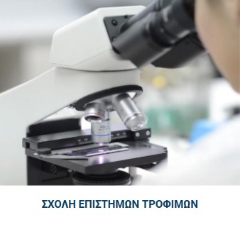 pada trofima